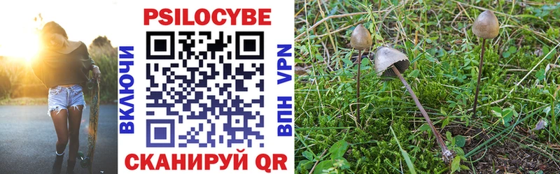 Псилоцибиновые грибы мухоморы  мега сайт  Кола  хочу  