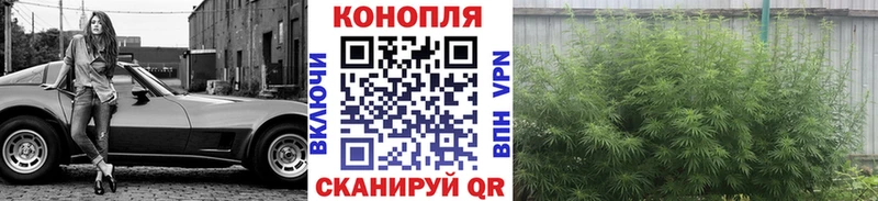 kraken ССЫЛКА  Кола  Марихуана OG Kush 